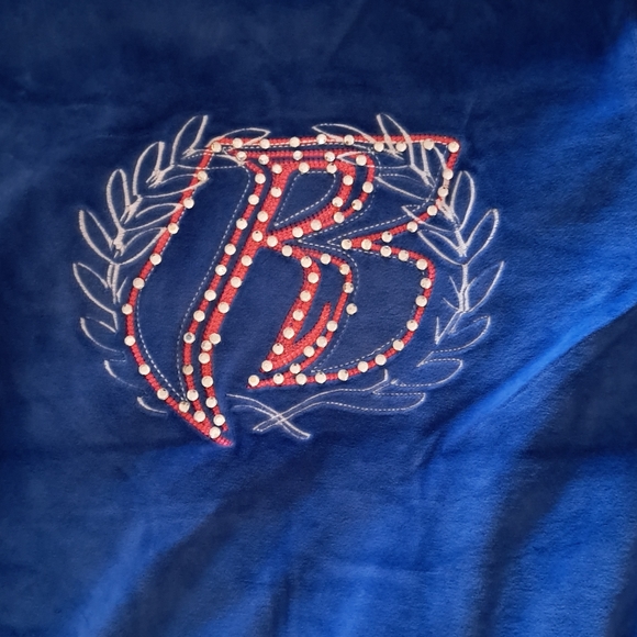 Ruff Ryder's Blue Velour Track Jacket and Skirt Set Y2K - Picture 9 of 16